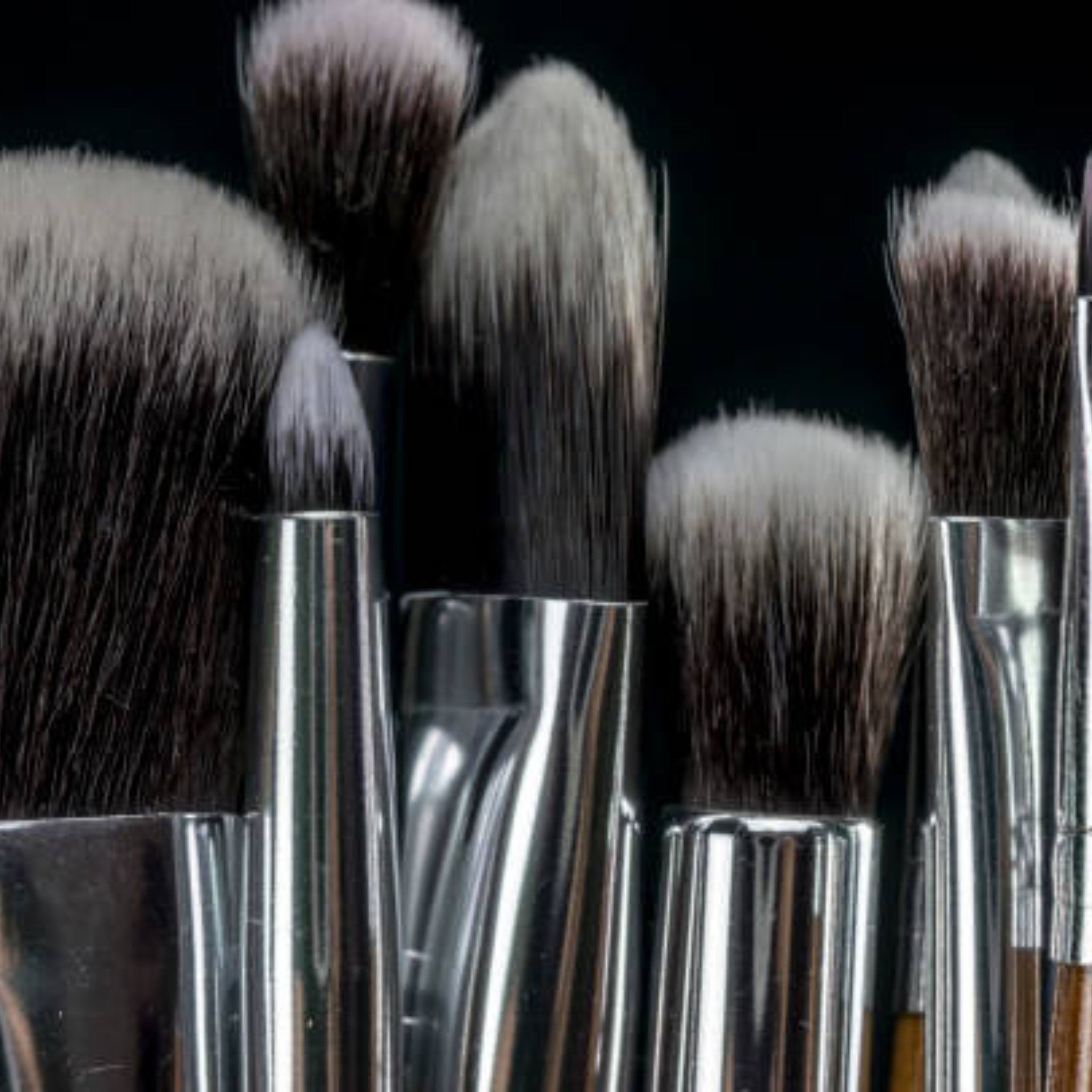 makeup brush set