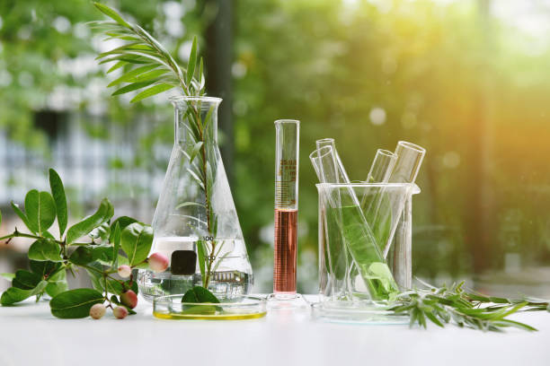 Tubes and jars of plants representing how natural beauty products are made.